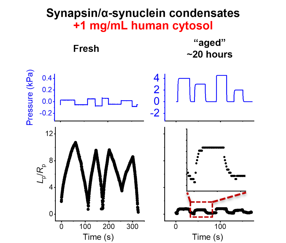 Zheng SHI (师征) tweet media