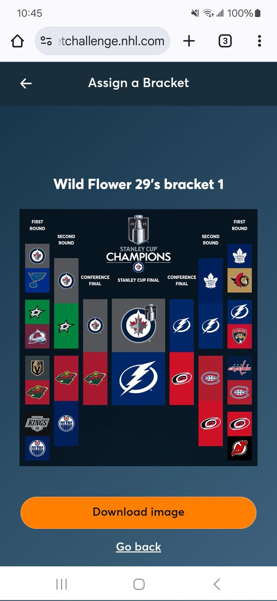 JeannetteLSmith's tweet photo. #NHL #StanleyCupPlayoffs #TampaBayLightning https://t.co/5f7Q5kQTWI