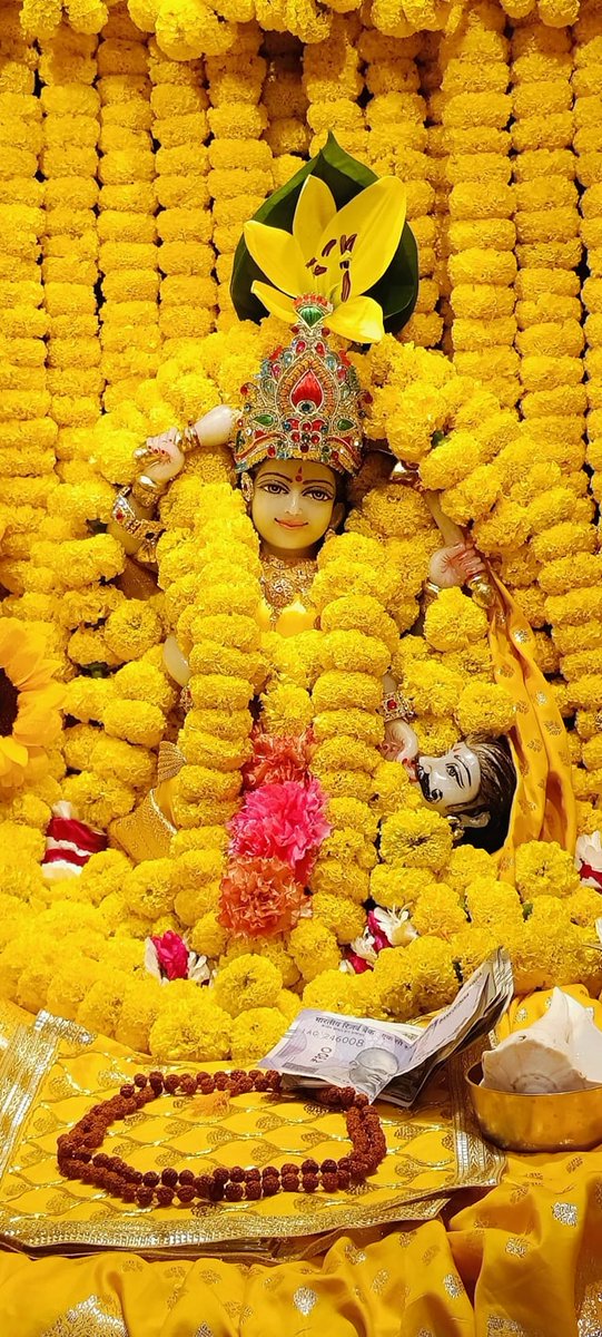 माँ बगलामुखी की पूजा कलियुग में सभी दुखों और बाधाओं से मुक्ति दिलाने वाली है। हमें सच्चे मन से माँ का पूजन और आराधन करना चाहिए।