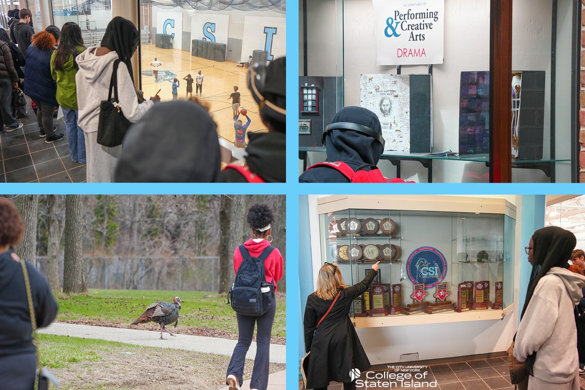 Research at the College of Staten Island tweet media