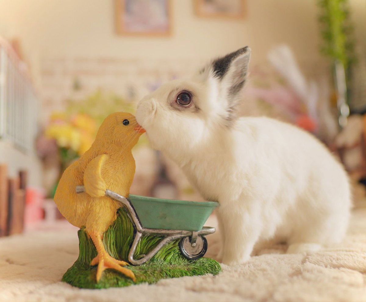 lapuchobimama's tweet image. Happy Easter🐣