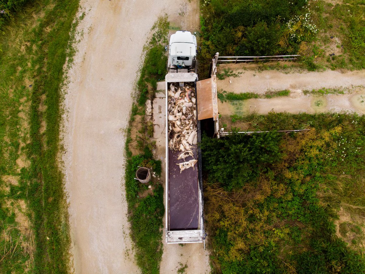 Evan Halper tweet media