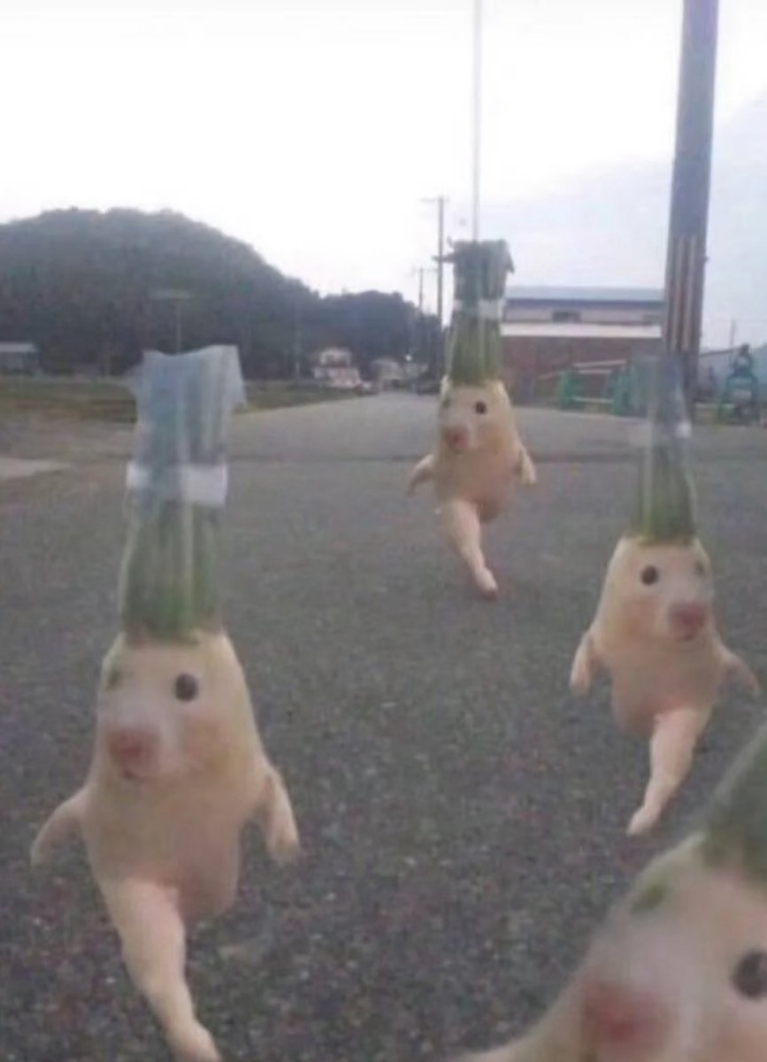 💖 (@twaniimals) on Twitter photo 