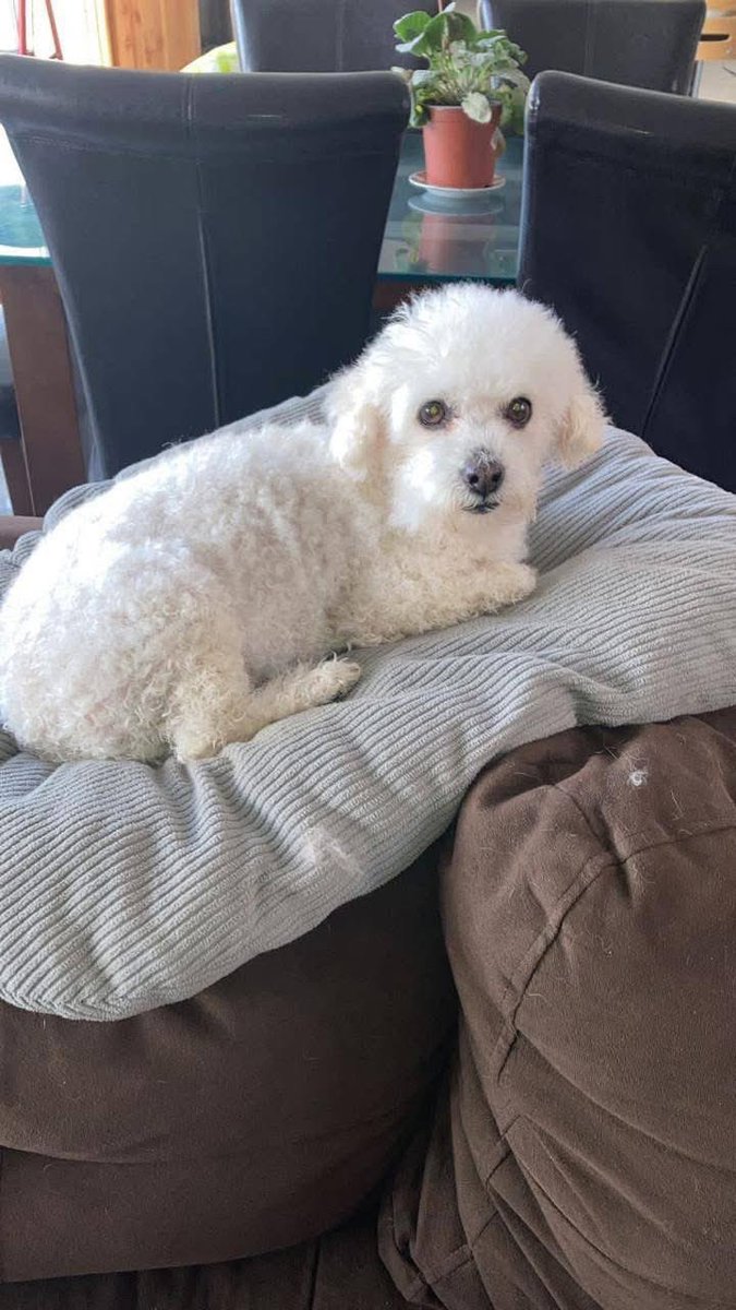 Eve Torres 🇨🇱 tweet media