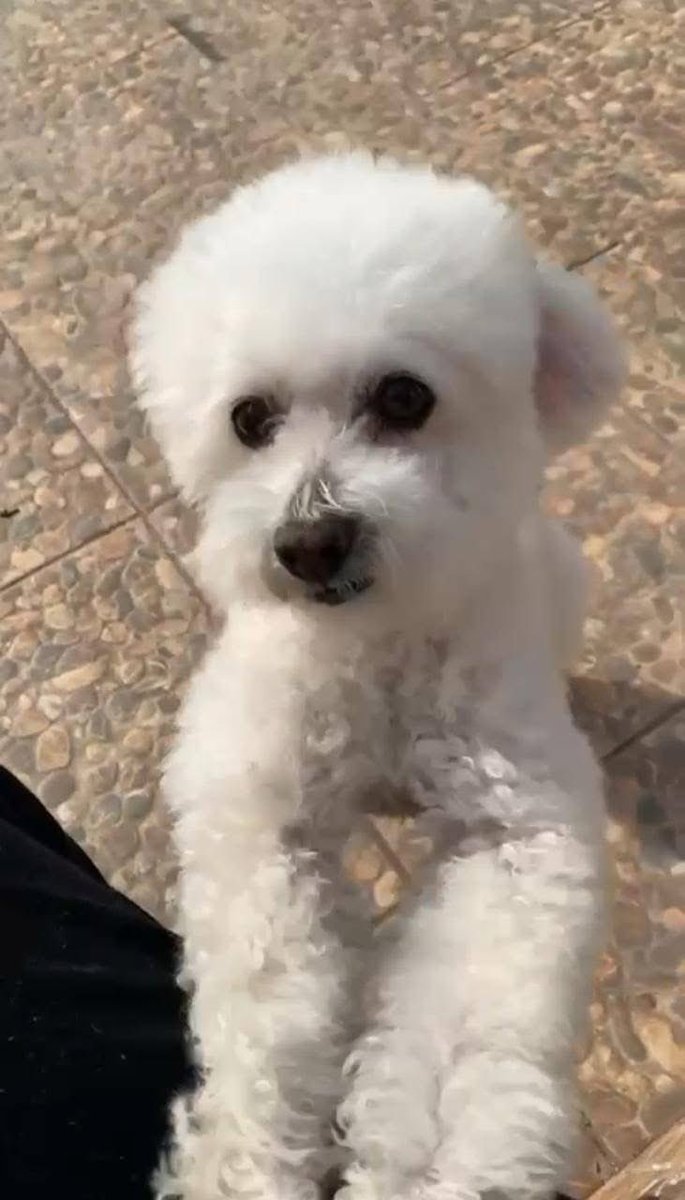 Eve Torres 🇨🇱 tweet media