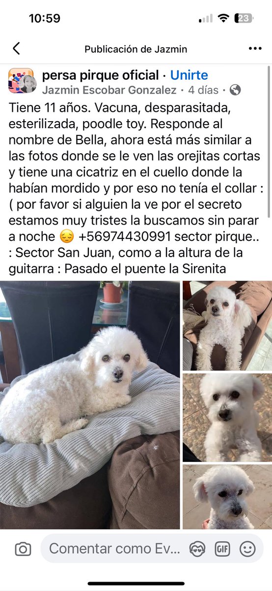 Eve Torres 🇨🇱 tweet media