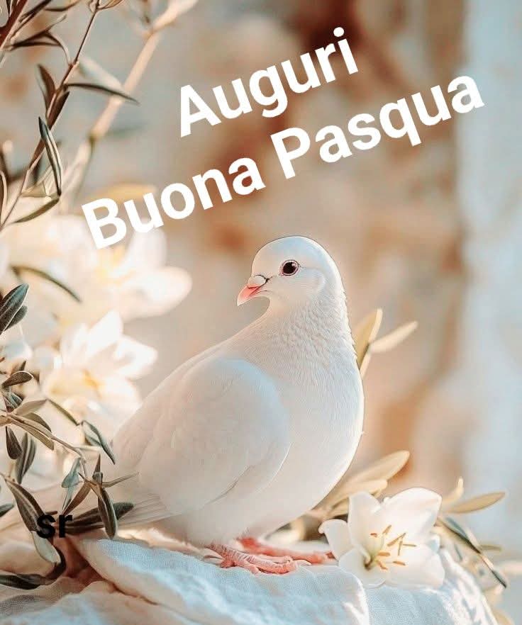 ZiiiSteTaranto's tweet photo. Auguri buona Pasqua di Pace e Serenità https://t.co/4Mf4j5alcd