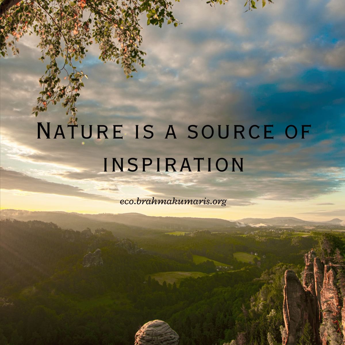 EcoBrahmaKumari's tweet image. Nature🌱is a source of Inspiration🌸

#ClimateWisdom
#ActiveApril
#EarthDay 

#ecobrahmakumaris  #environment