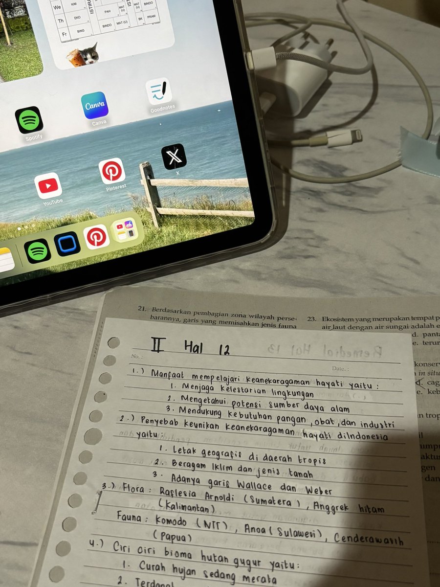 chelsea²⁷ ఇ FK UNUD 2027‼️ tweet media