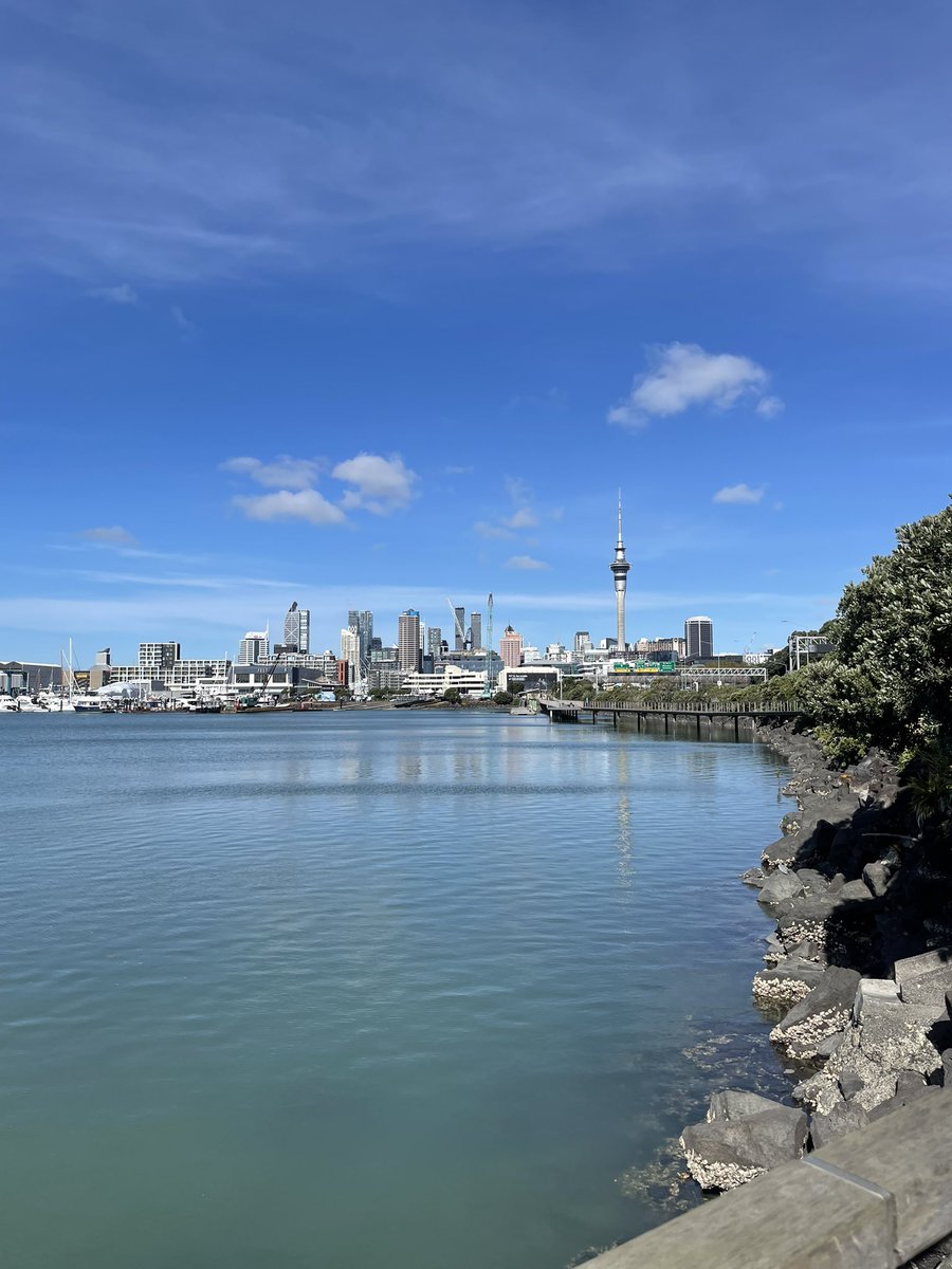 I’m in New Zealand!! Sorry for the lack of activity, but I’m back! 🫶 
any kiwis around? 🥝
#LifeUpdate