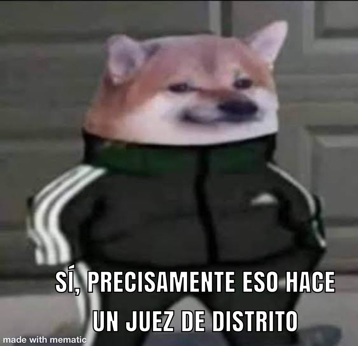 JaliscoJusticia's tweet photo. Cuando el votante se queja de que el municipio no recoge la basura y tú quieres asegurar el voto. https://t.co/AWzEcgUzaw