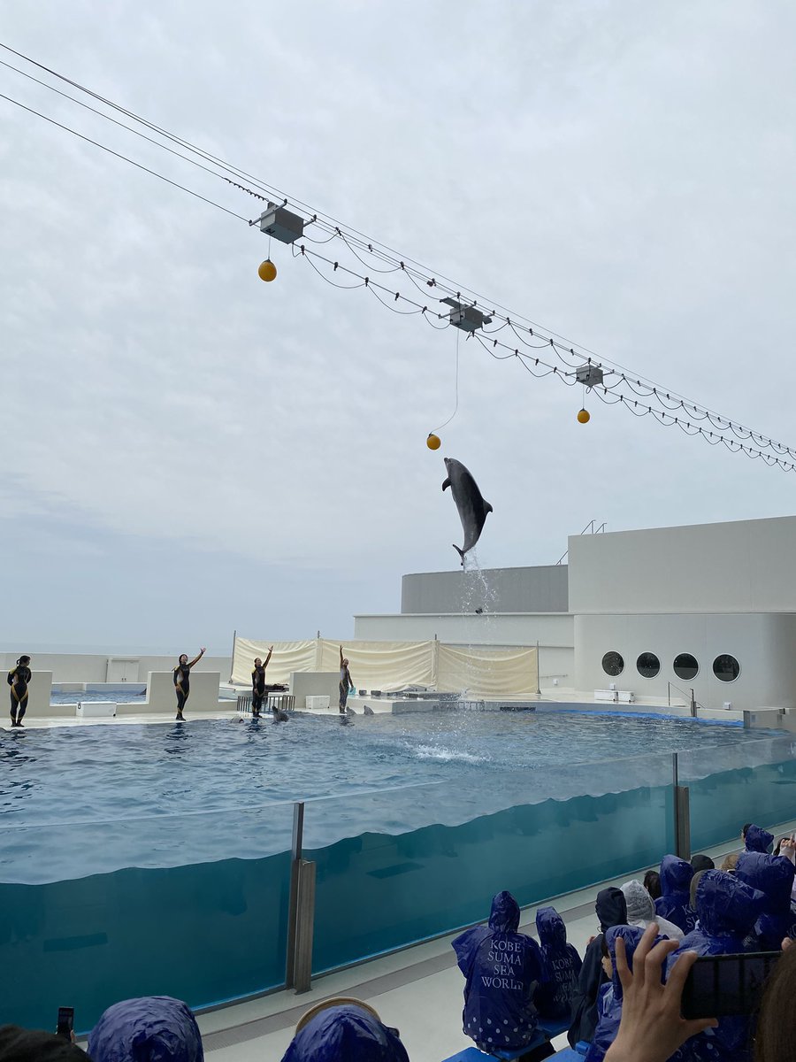 yu___ki_y's tweet photo. 町内のバス旅行
#須磨シーワールド https://t.co/H1b66fhmug