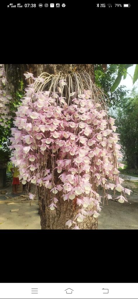 bendith paul (@bharatboha21235) on Twitter photo 