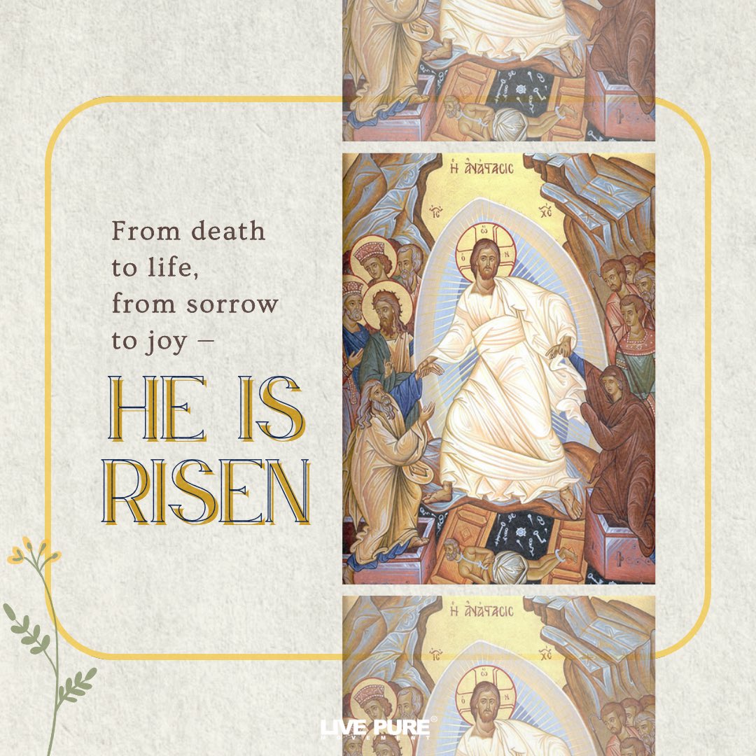 iwanttolivepure's tweet photo. Our hope is not in an idea or ideology, but it is a person. Jesus Christ is our hope, the firstborn of the dead! He comes to redeem our whole being. Love conquered death in Christ Jesus!

He is risen! Alleluia! https://t.co/kAYxhMGJtr