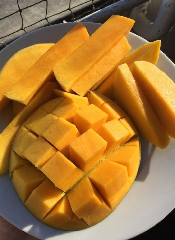 W I D J A Y A tweet media