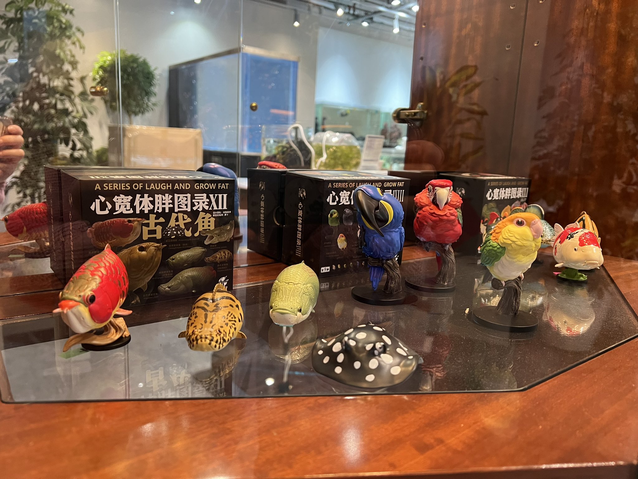 Amazon.co.jp: 動物の惑星 アリゲーターガー 動物星球 ANIMAL