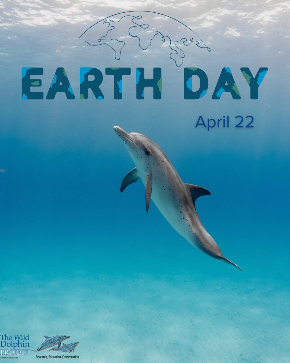 Dolphins are intelligent, social, and vital to healthy oceans. Here are 5 ways you can help protect wild dolphins — on Earth Day and every day:

Reduce Single-Use Plastics 
Choose Reef-Safe Sunscreen 
Keep a Safe Distance 
Support Responsible Ecotourism 
Educate and Advocate