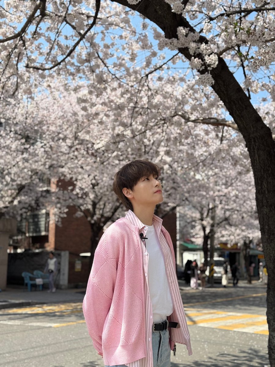 취준? 어학공부?
무슨 소리를 하는거야, 너 꿈 꿨어?
오늘 나랑 벚꽃 보기로 했잖아.
#SF9 #INSEONG