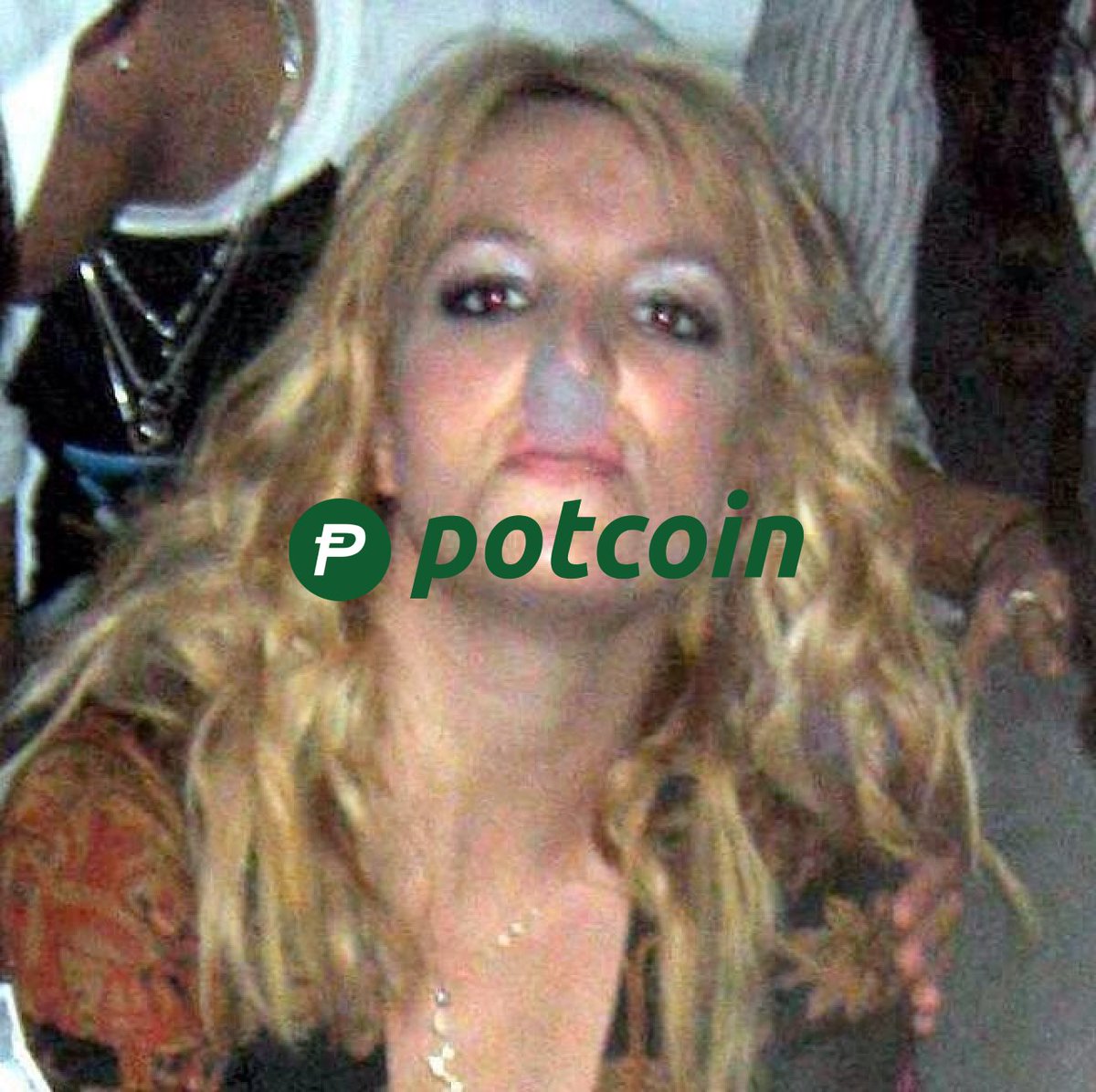 potcoin tweet media