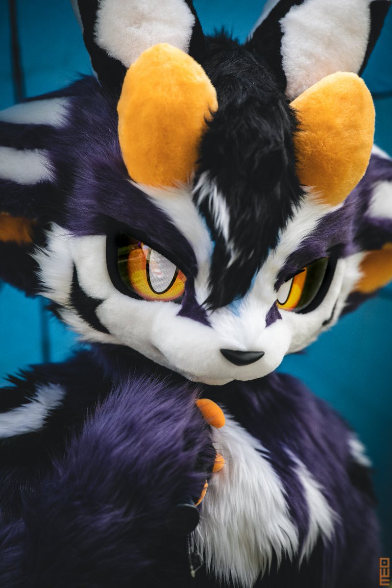 Did you just look at me?
恶魔羊🐐: 龙井