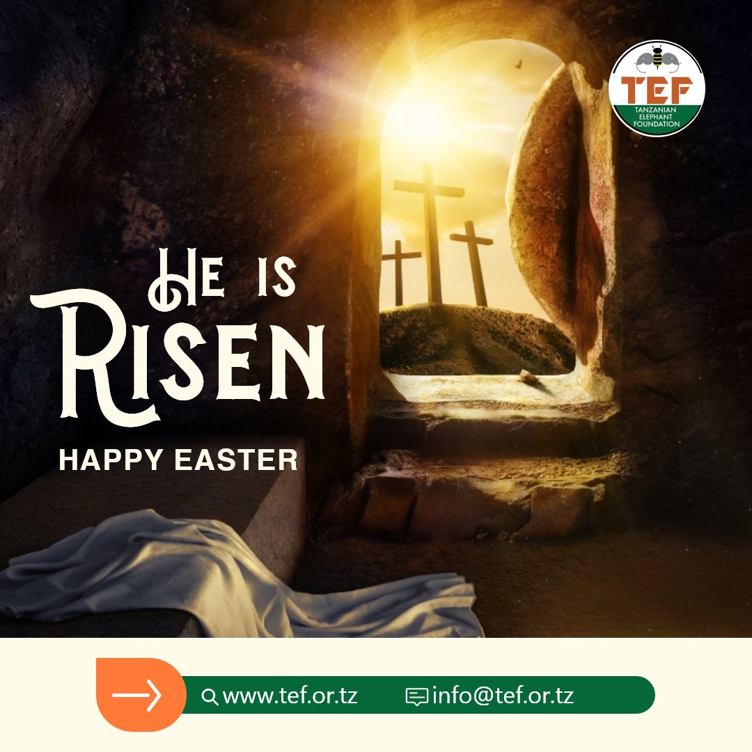 Thank you for standing with us in protecting these gentle giants. May your Easter be filled with peace, love, and the joy of making a difference.💚🐘

#TEF#elephantconservation
#easterseason2025