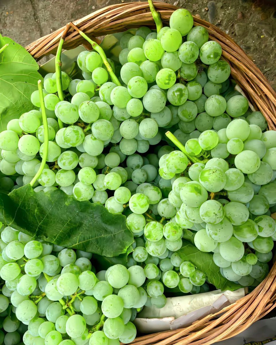 yhanggarcia22's tweet image. #HealingLandscape