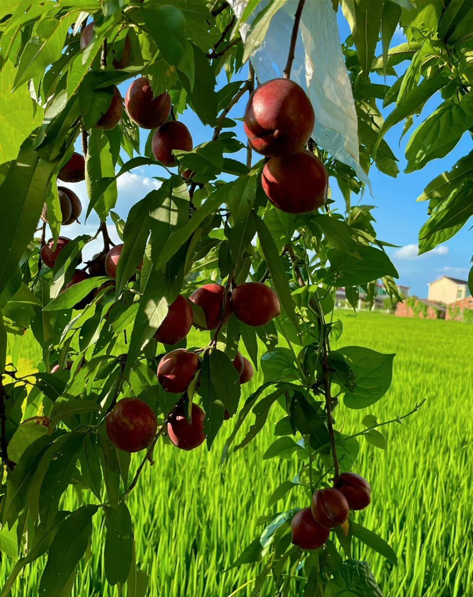 yhanggarcia22's tweet image. #HealingLandscape