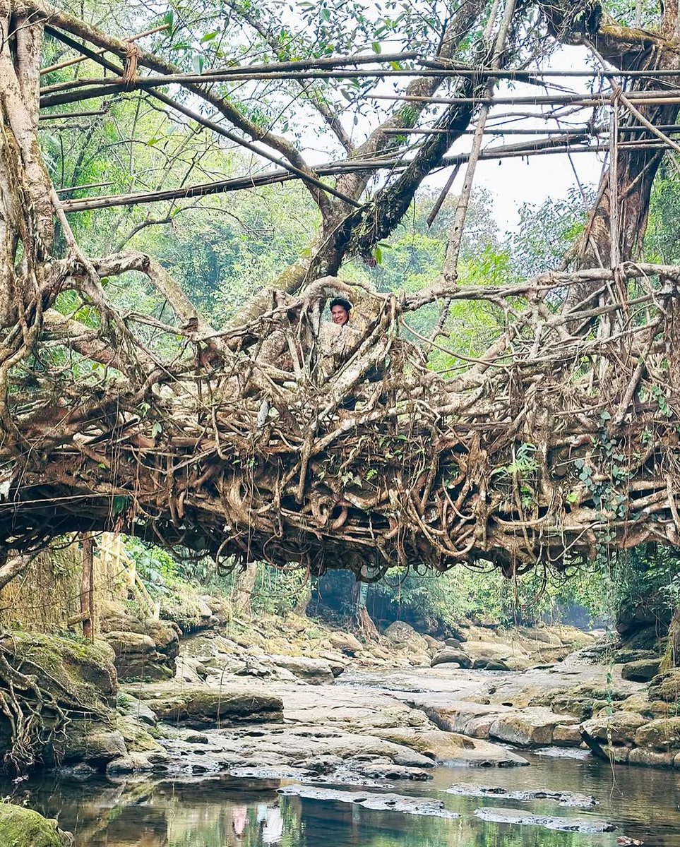 BangaloreTimes1's tweet photo. #SachinTendulkar was recently marveled at Meghalaya's stunning root bridge visit
#celebvacay #sachininmeghalaya #rootbridge #sachinvacation https://t.co/nEgtnpgNjK