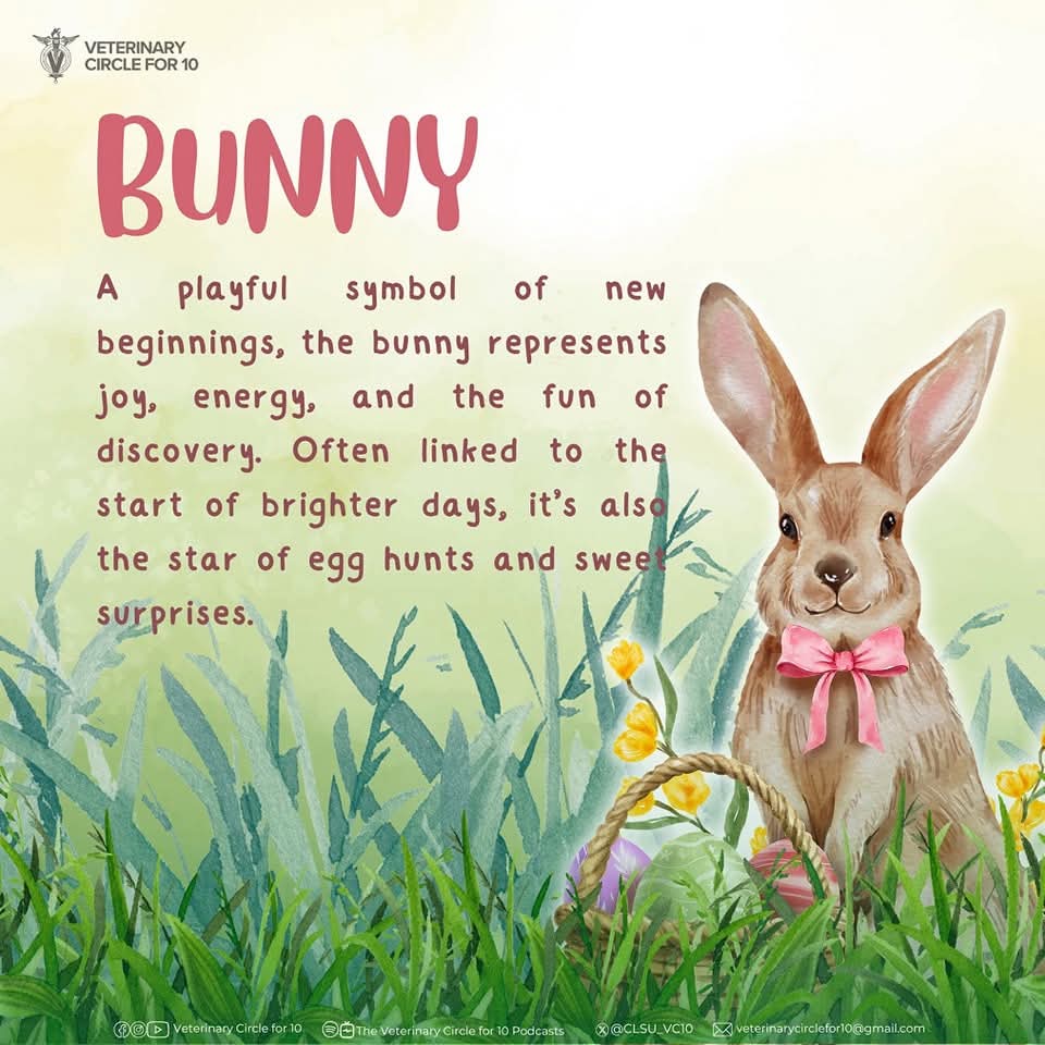 CLSU_VC10's tweet photo. As Easter invites us to reflect and reset, we often turn to familiar animal symbols that speak gently to the soul.  

The bunny, chick, lamb, and butterfly—beloved animals of the season—each carries a message of hope, growth, and gradual transformation. https://t.co/03PtEFH6ex