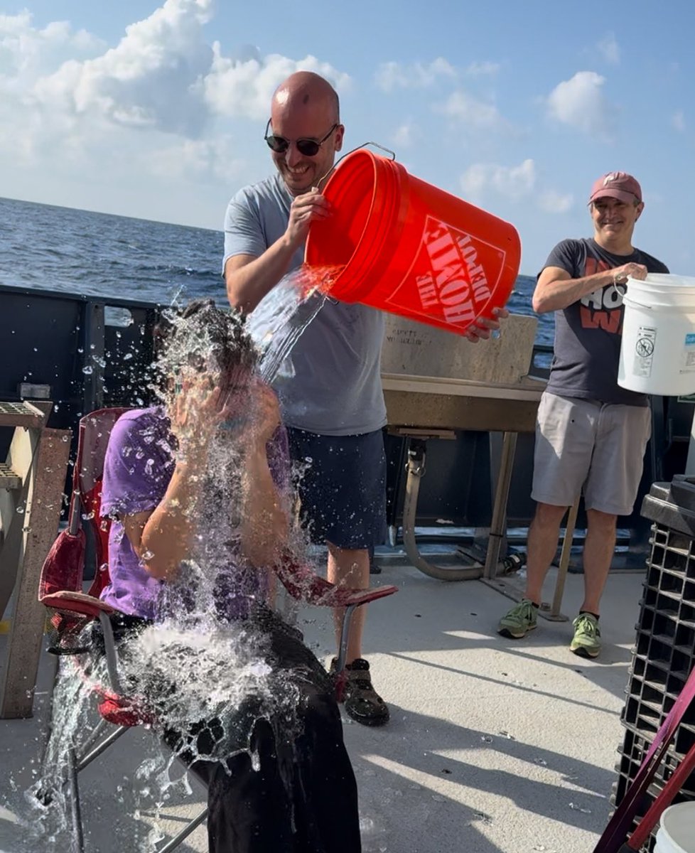 Mustafa Yucel tweet media