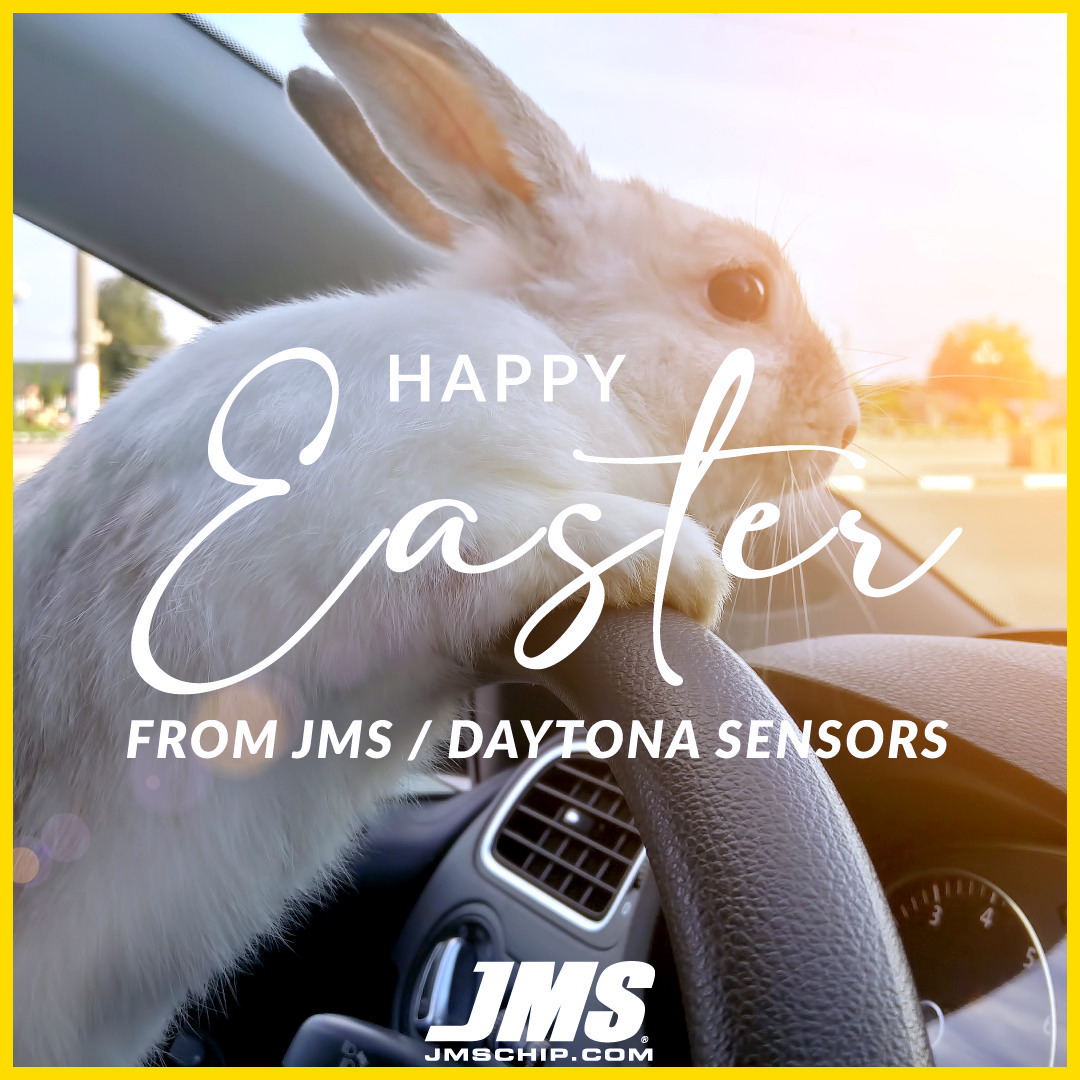 JmsChip's tweet image. Happy Easter to you and your Family!!
Me, I am just Wheel Hopping around.
#jmschip