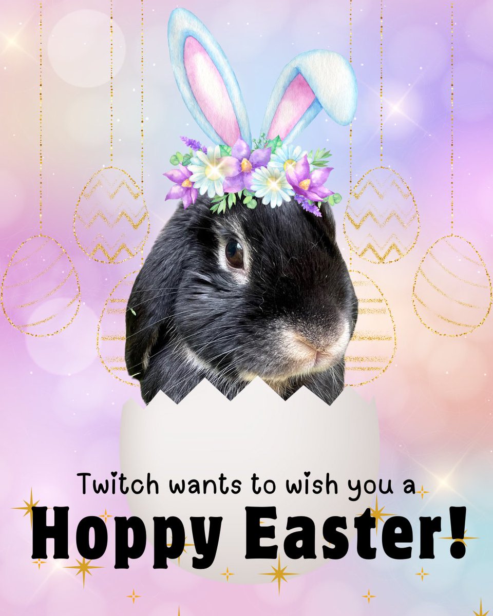 Hoppy Easter from this little bunny! 🐰✨
