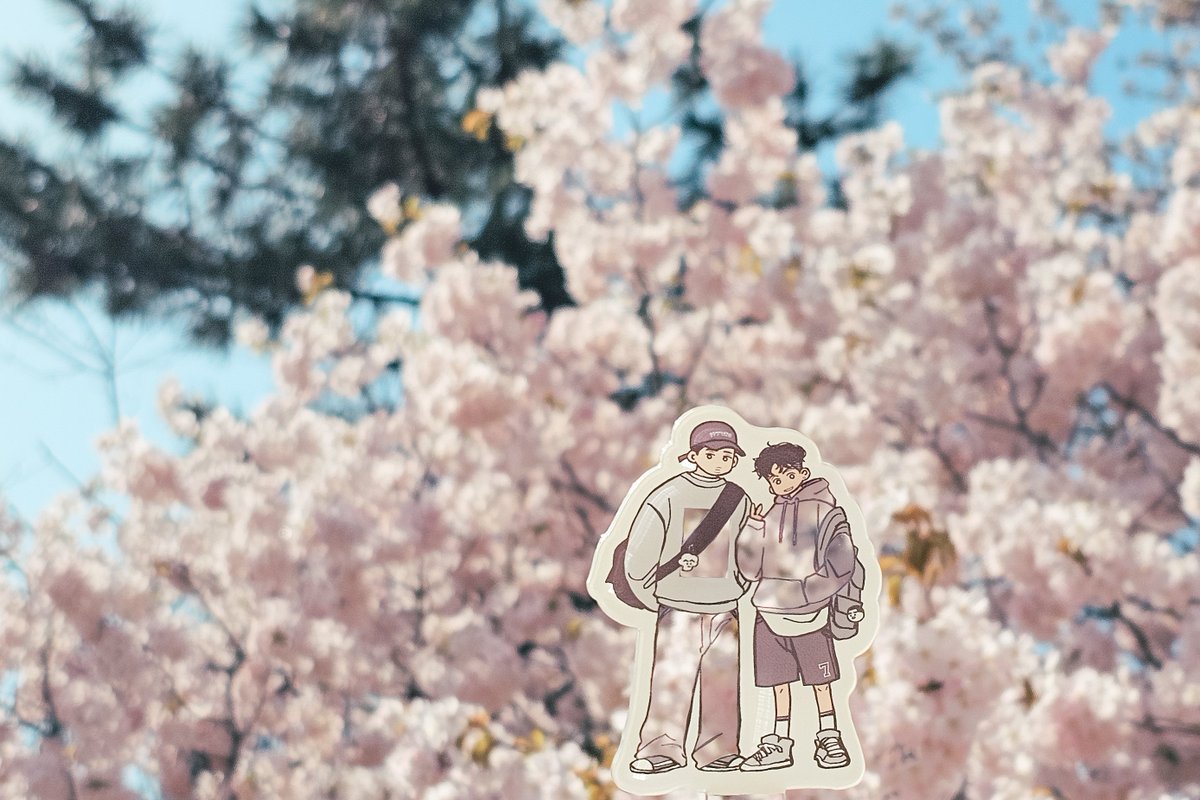 올해 벚꽃 막차.