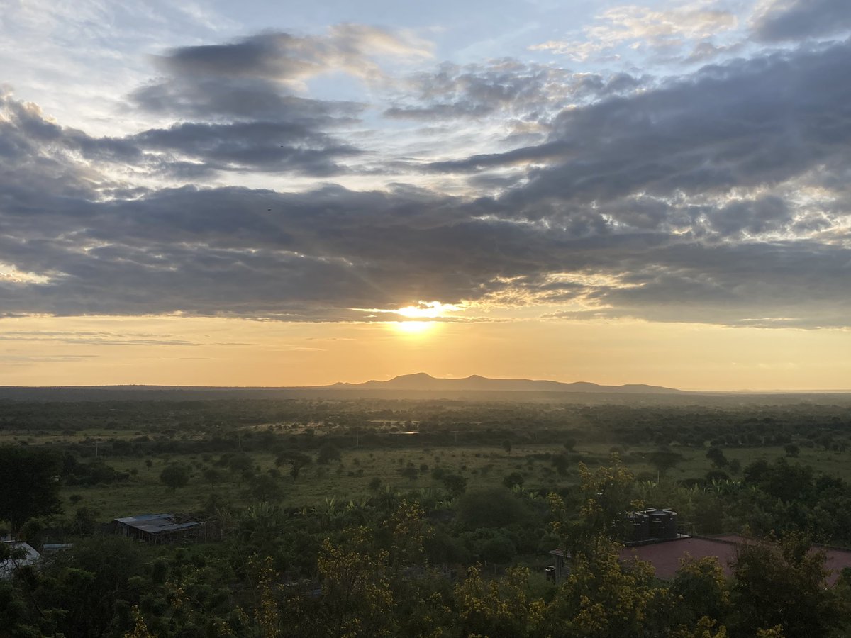 IreneKaindi's tweet photo. #Sunrise 🌅 6.46am in #Masimba https://t.co/puqg4iuF0I