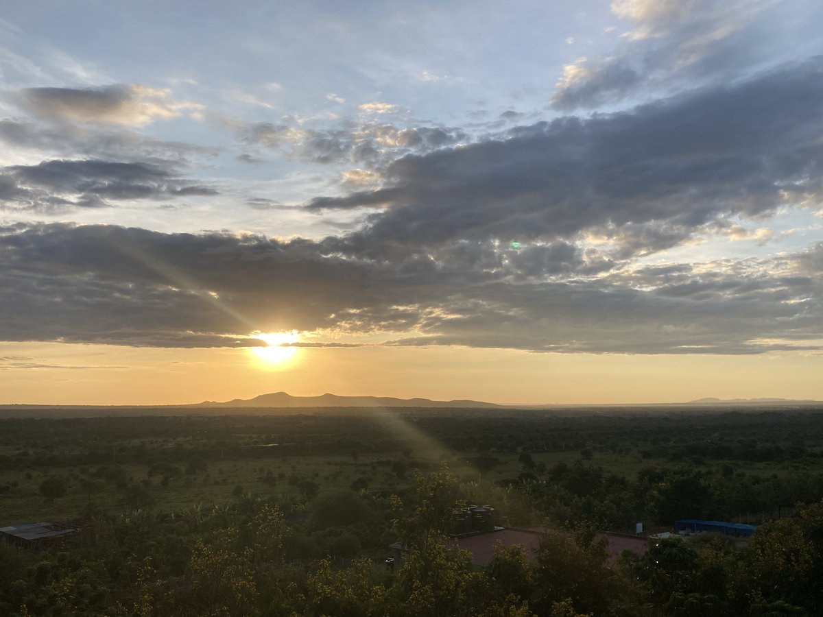 IreneKaindi's tweet photo. #Sunrise 🌅 6.46am in #Masimba https://t.co/puqg4iuF0I