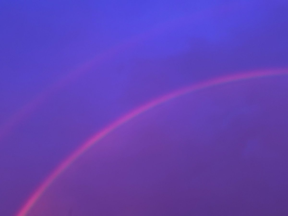 にゃん(4) tweet media