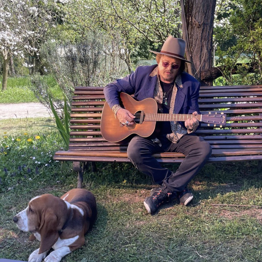 Zucchero Fornaciari tweet media