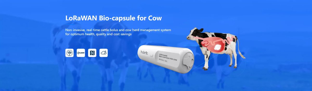 FinPlanKaluAja1's tweet image. If Buhari had brought South Africans or Argentines to build a world-class ranch with a modern abattoir in Katsina, it could have employed thousands, exported Halal meat to Saudi Arabia, increased IGR and FDI, and reduced banditry.
However, his attempt to grab land in States was…