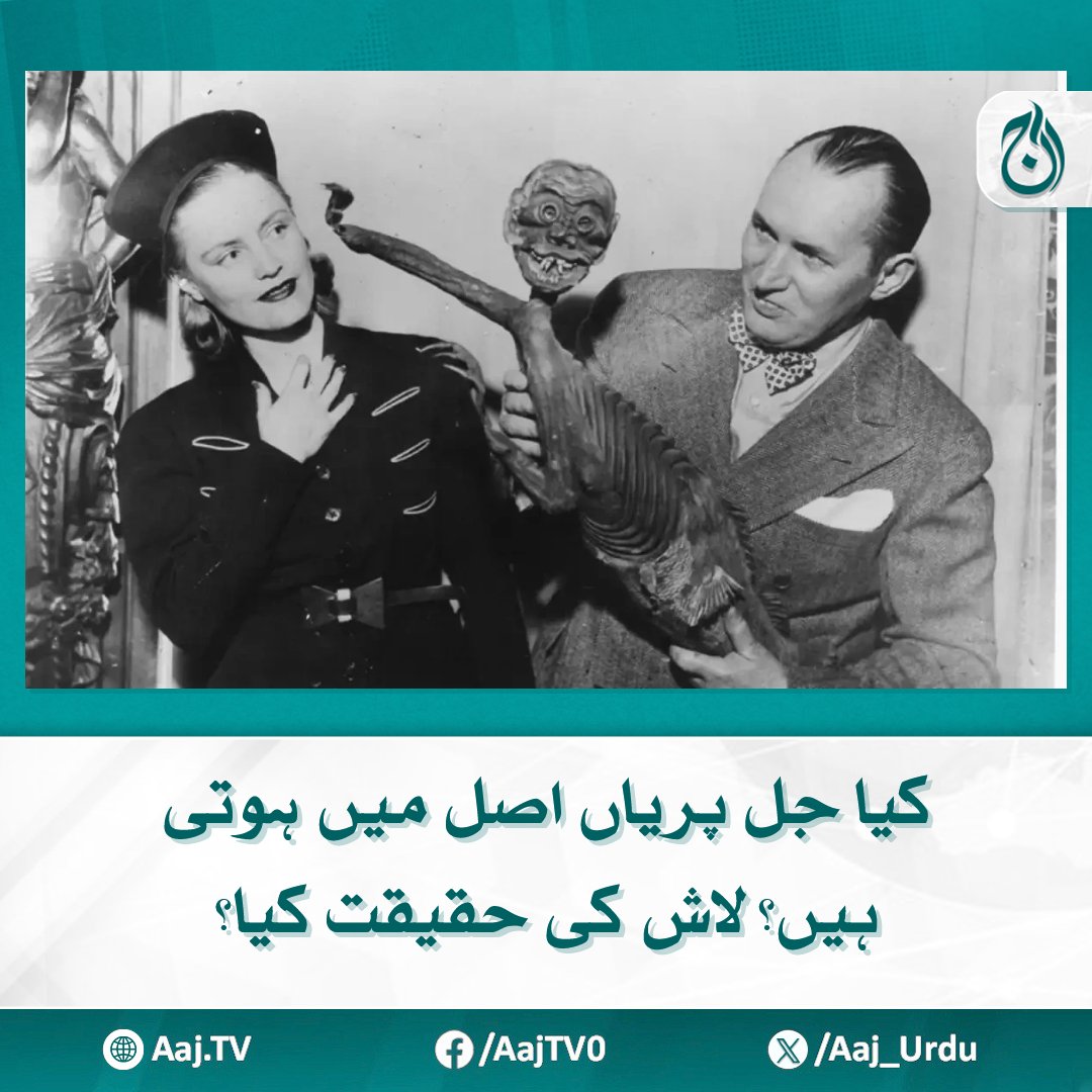 Aaj_Urdu's tweet photo. "فجی مرمیڈ" — دنیا کی سب سے مشہور جل پری کہاں ہے؟
مزید پڑھیئے https://t.co/tDbPkc7W2c
#AajNews #MermaidMystery #MythOrReality #MuseumSecrets https://t.co/zLRJPDvJip