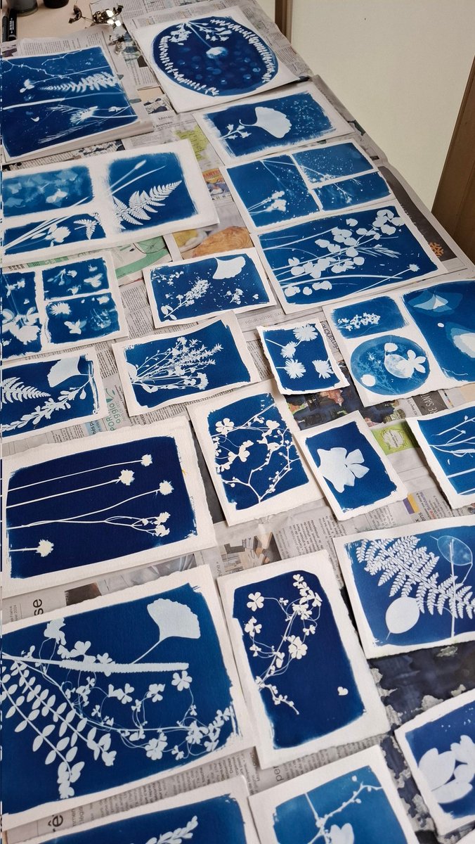 ateliermoeli's tweet photo. J'ai inauguré mon nouveau format d'atelier créatif autour du cyanotype !  Mes 4 stagiaires l'ont plus que validé, ils l'ont adoré 😊 https://t.co/PL2mfYtEnQ