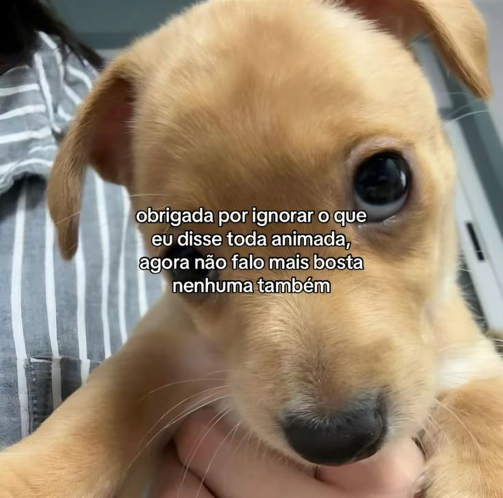 odeiootaco's tweet photo. https://t.co/Peo2Qvjrvh