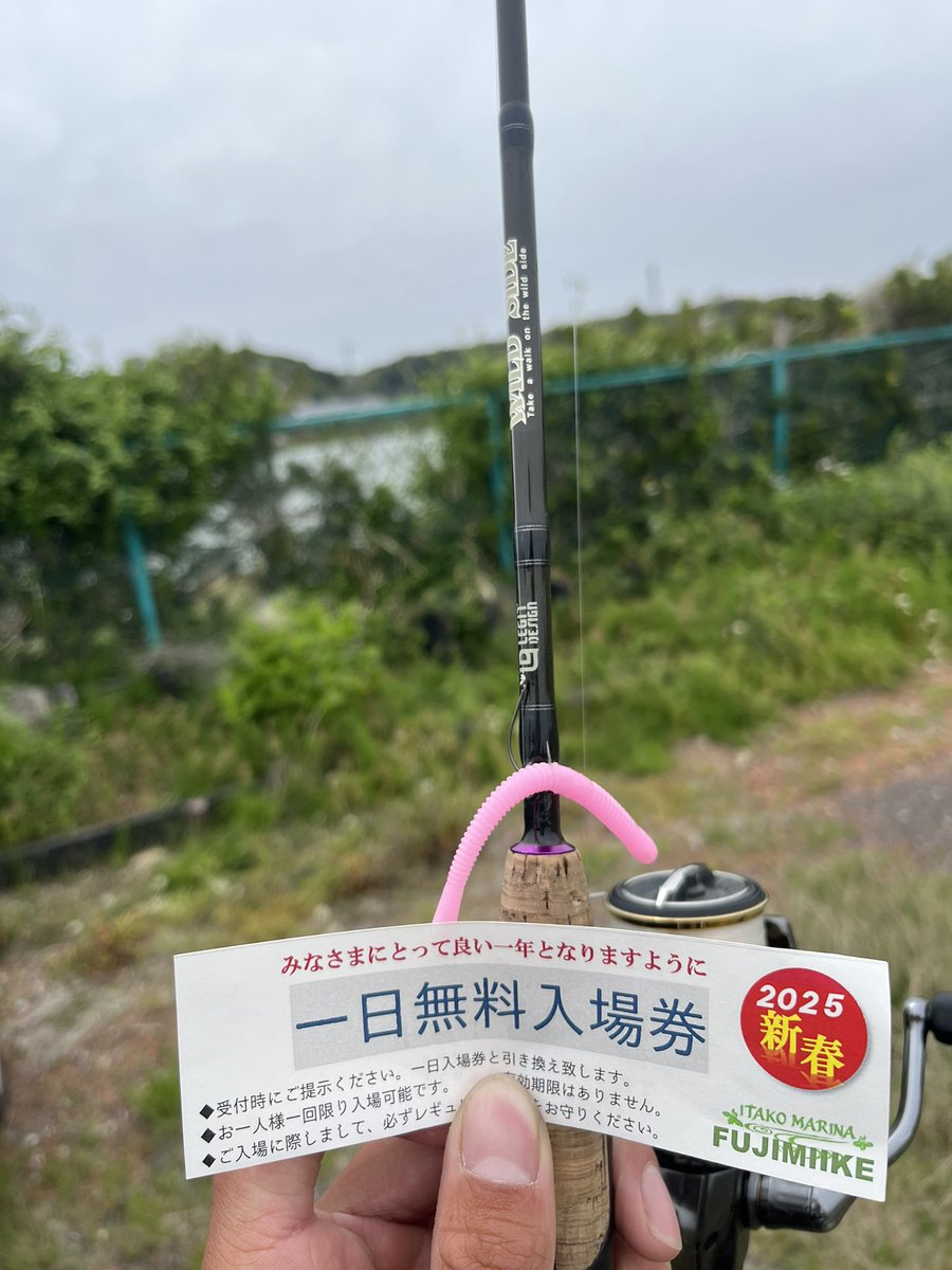FunnyHorry's tweet photo. 北浦ショアチャプター６位ですた

昨日は下見で行ったらSSギルでゴツいの釣れました
夕方はHPFでも釣れました

#osp #pr  #WSS61L #WSC610MH #WSC66ML https://t.co/NaFVRwI0PZ