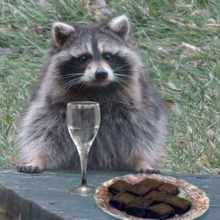 CR vs Falcons….. i lost track…. 😩