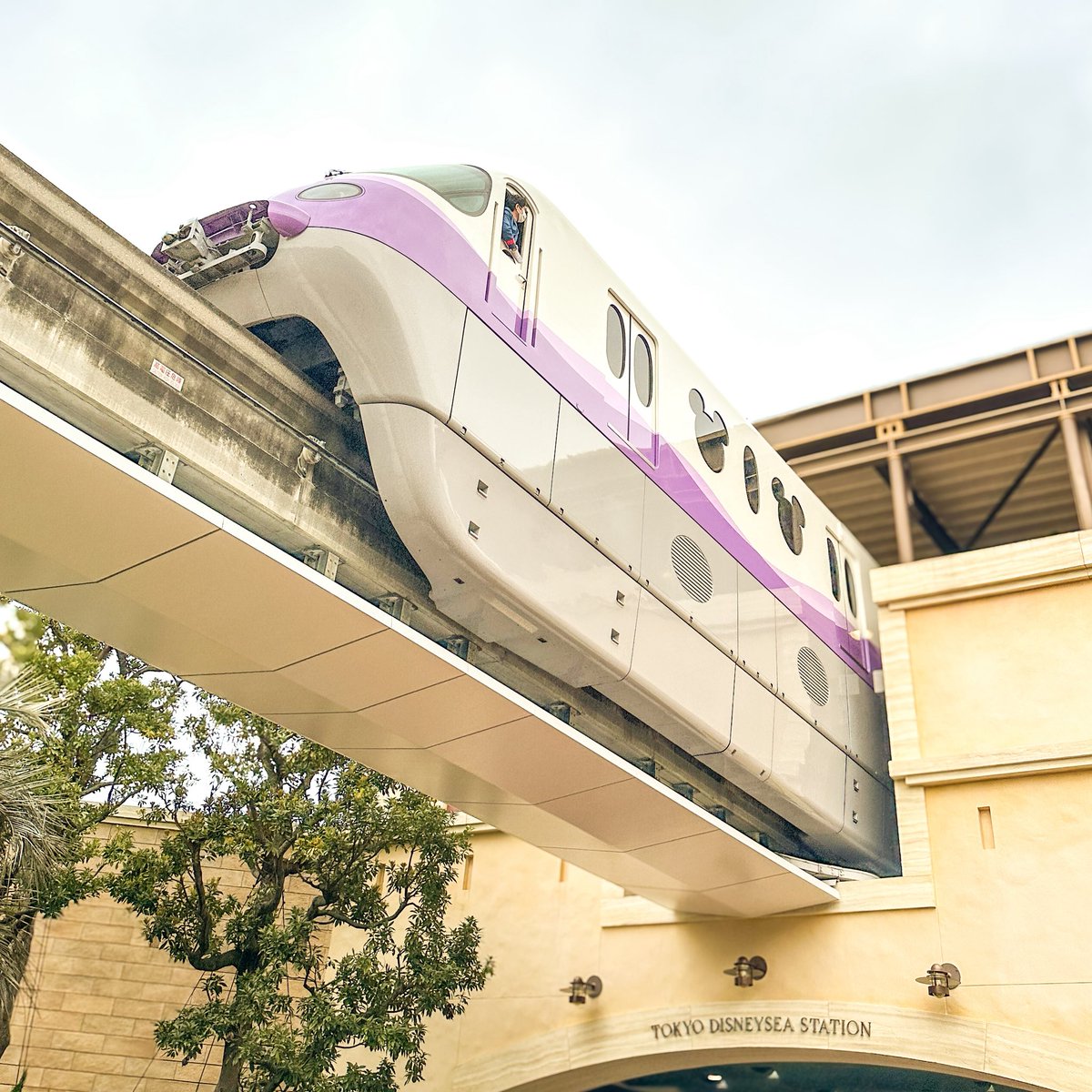 class_bm's tweet image. ディズニーシー🤫

#ディズニー
#ディズニー好きと繋がりたい 
#日常垢 
#日常垢さんと繋がりたい