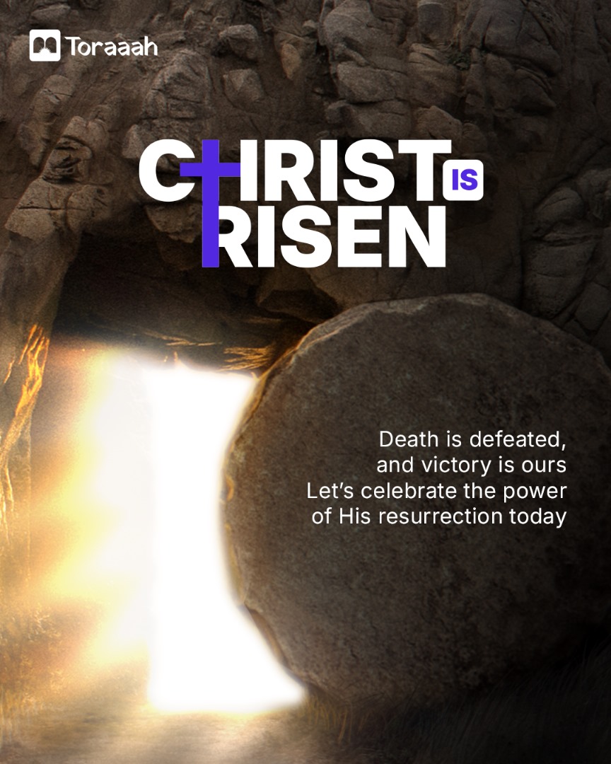 gettoraaah tweet media