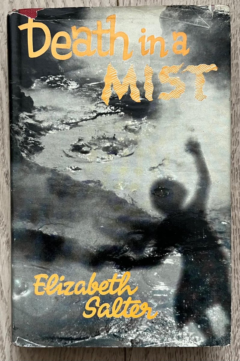 wilsongullis's tweet photo. Death In A Mist by Elizabeth Salter (Geoffrey Bles, 1957). #DeathInAMist #ElizabethSalter #1950s #GeoffreyBles #book #books #hardback #hardcover #dustjacket #dustwrapper #Crime #mystery #thriller #thrillers #thrillerbooks https://t.co/xrmTmc5pn5