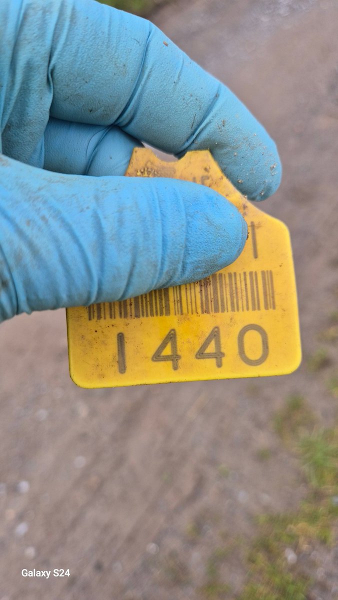 🇺🇦Noel O Connor🐄 tweet media