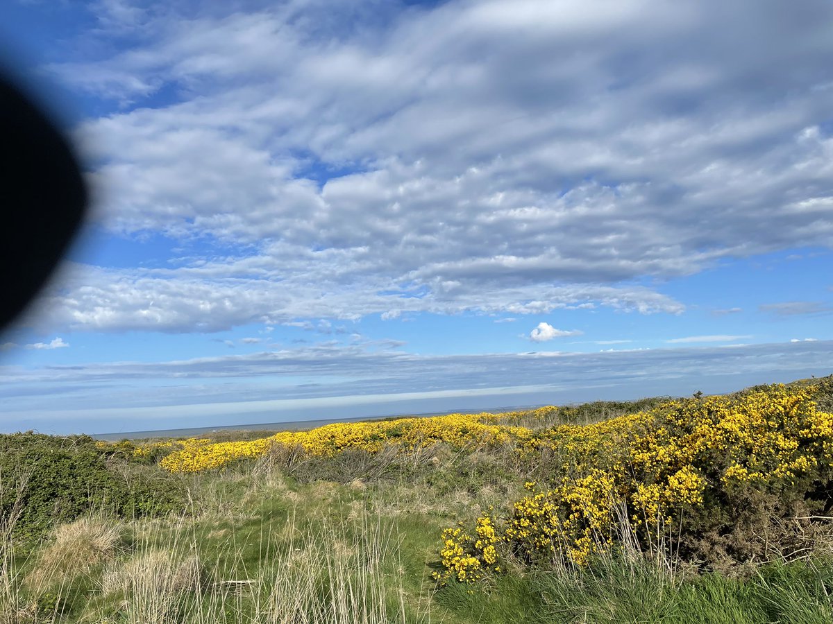 chrisstovell's tweet photo. Porthcawl 5k on a glorious morning. 
#RunningKind https://t.co/lvDGmISISN