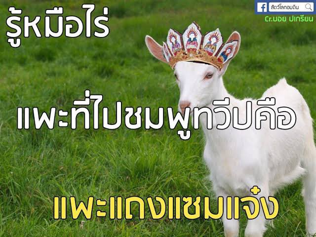 godgimpo's tweet photo. https://t.co/Ce8sQQR4ul