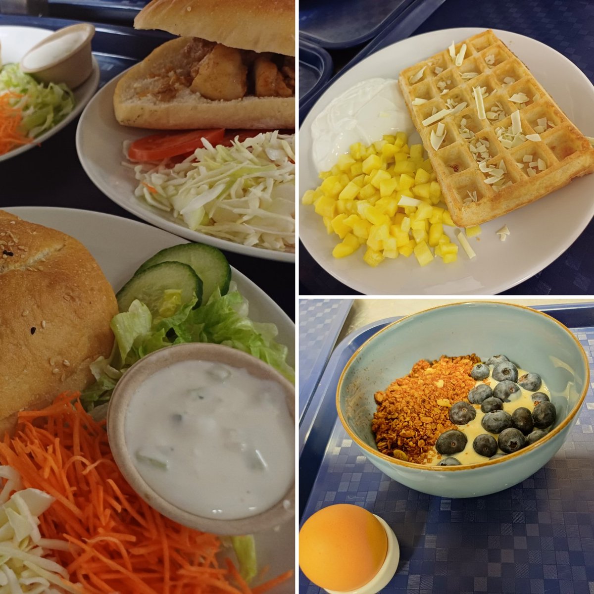 PedroCoenen's tweet photo. Wat krijgen ze zoal te eten? Een kleine selectie van afgelopen week...
#rijstepap #warmekersen #ei #pitakipshoarma #mango #kwark #roodbaars
#FortunaSittard https://t.co/DHDsP3j007